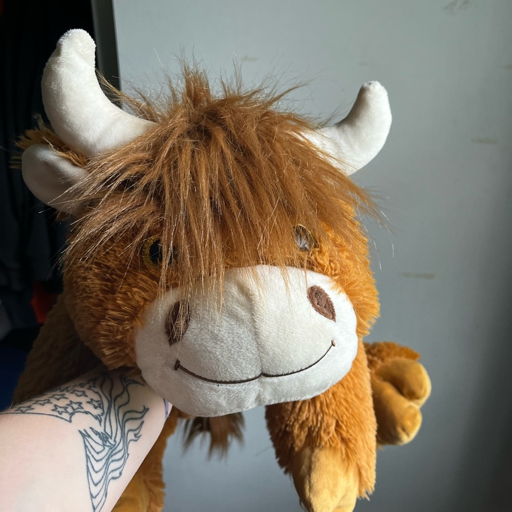 Cute cuddly cow stuffie